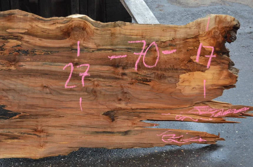 041619-02 Big Leaf Maple Slab