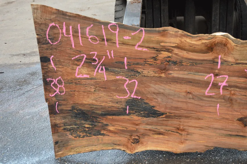 041619-02 Big Leaf Maple Slab