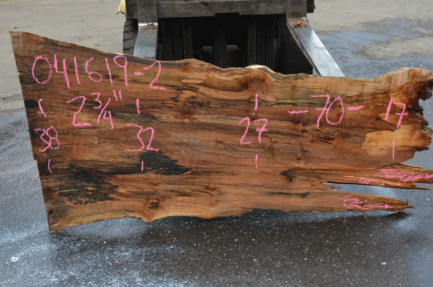 041619-02 Big Leaf Maple Slab