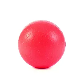 Fetch Ball in Red